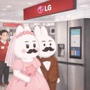 ㈜스타오토케어 | Wedd7. 대구 혼수가전 LG베스트샵 오픈세일 ‘LG전자베스트샵 경산점’