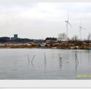 시화호수로4 이미지