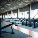 그린스테이 이미지