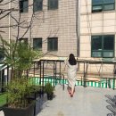 브린(Breen) 이미지