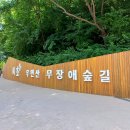 서초구 우면산에 무장애숲길 개장…&#34;누구나 산책하며 힐링을&#34; 이미지