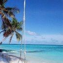 바다풍경 이미지