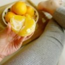 제시카의 제주 이미지