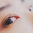 티라레 뷰티(tirare beauty)