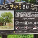 회화정비 이미지