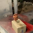 아이엠내과의원 이미지