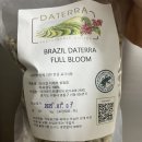 풀블룸 | 어라운드 트레이딩 브라질 다테라 풀 블룸 내돈내산 후기