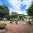 우포늪 광장 이미지