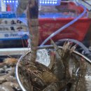 초장집2호