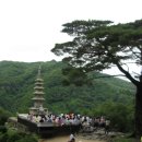 8/23(일요)유서깊은 명산,한폭의 동양화 청량산으로!... 이미지