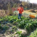 영준농장 이미지