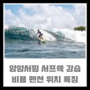 서프쉑 이미지