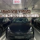 테슬라 모델Y RWD 구매후기, 틴팅(볼텍스IR), 알리용품