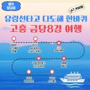 광주전남 남도한바퀴 고흥금당8경여행 가족여행 버스여행 후기