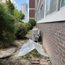 로컬푸드직매장(옥천살림협동조합) 이미지