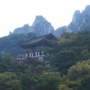 최*용1 이미지