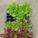 혜림농장 이미지