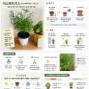 경남낙우회영농조합법인 | 경남 최대 창원 식물원 찾는다면 여기로~ 동창원식물원영농조합