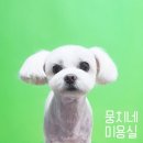 뭉치네 미용실 이미지