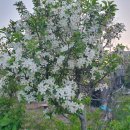 준피부과의원 이미지