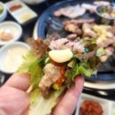 보래농장 네이버블로그