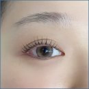 블링더뷰티 이미지