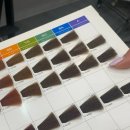 분당-185 | 미금역 미용실 185 헤어 매트 브라운 염색 후기, 분당 미용실 추천