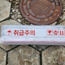 빛나농장 | 화장실 곰팡이 고민 끝, 인체에 무해한 HCN 가시광선 살균 조명 설치 후기