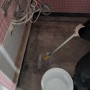 악쓰는하마 이미지