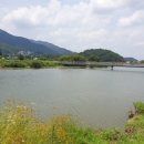 와이식자재마트 이미지