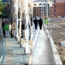 전안초등학교 이미지