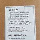 오늘은, 꽃