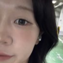 렌블링 퓨어블 애쉬브라운 축고정렌즈 가격 착용감 발색 내돈내산 후기
