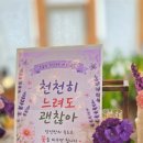 제주시 제주치매안심센터 | [제주치유농업]노인복지관·치매안심센터 맞춤형 프로그램, '제주치유농장 꽃숨'에서 마음을 돌봅니다