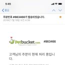 화정힐동물병원 이미지