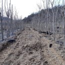 천연비누와 주방 세제 만들기 이미지