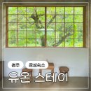 스테이 숲 | 경주 유온스테이 숲뷰 후기 : 경주 감성 숙소 추천, 자쿠지, 스파, 조식