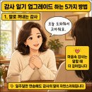 일5컷