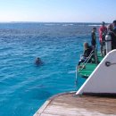 깊은바다 이미지