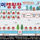 온새미캠핑장 이미지