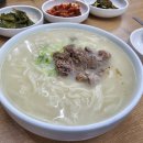 안동국시 티스토리