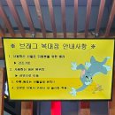 청주브래그 이미지