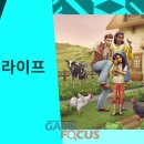 코티지11 이미지