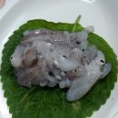 군산실내마차 이미지
