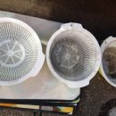 월곶세차장 이미지