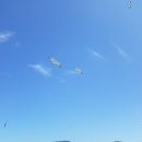 금오도 휴식처 이미지