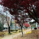 한마음체육공원화장실 이미지