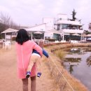 라노비아카페