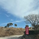 솔로투(solotu) | [화순] 커피 오마카세 ‘솔로투’｜에스프레소 코스, 내돈내산 솔직후기