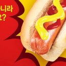 원핫도그 이미지